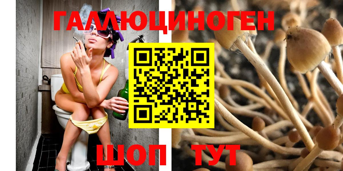 Галлюциногенные грибы Cubensis Чита